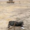Čadští vojáci v boji proti Boko Haram