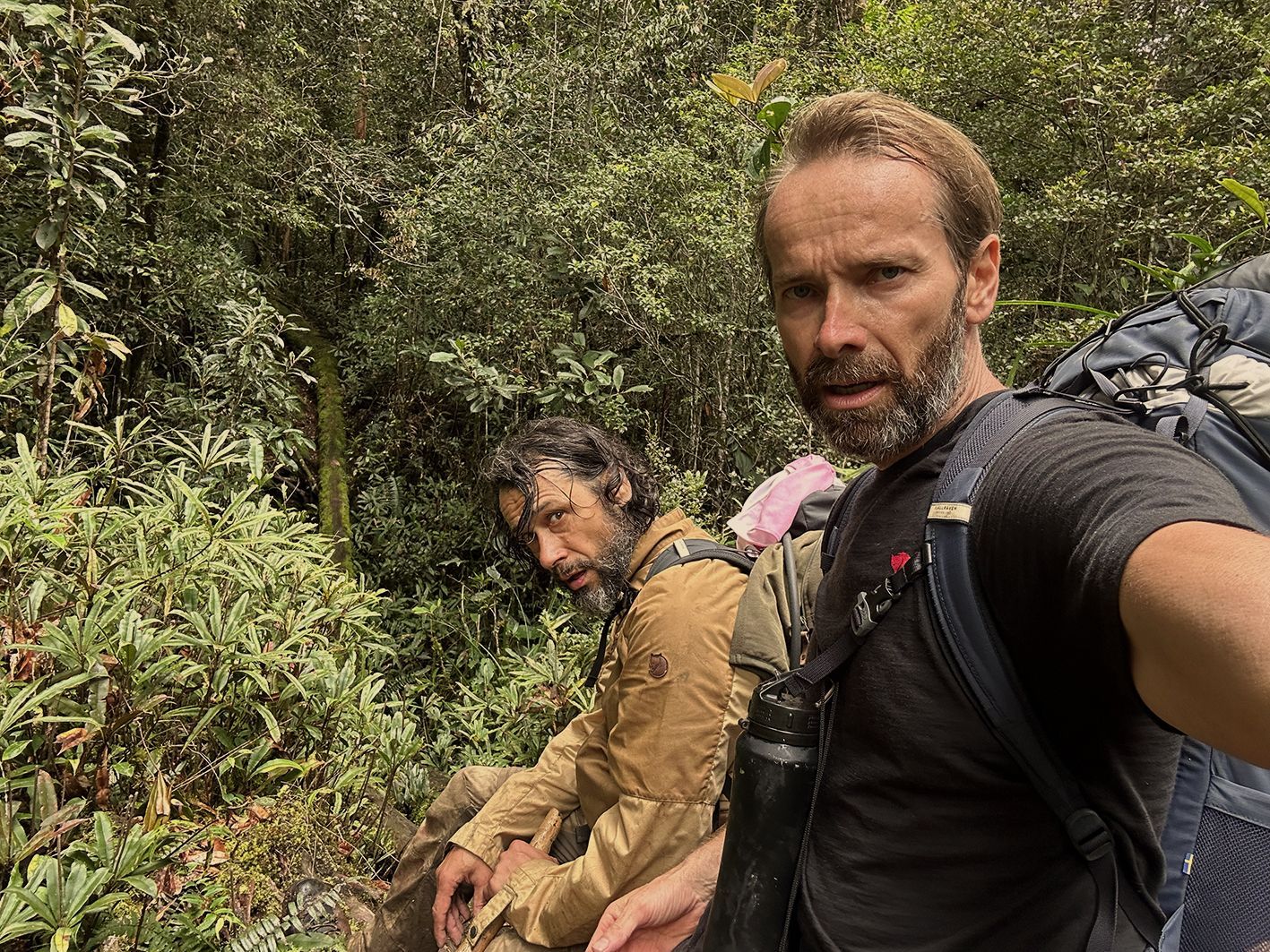 vandraci, vagamundos