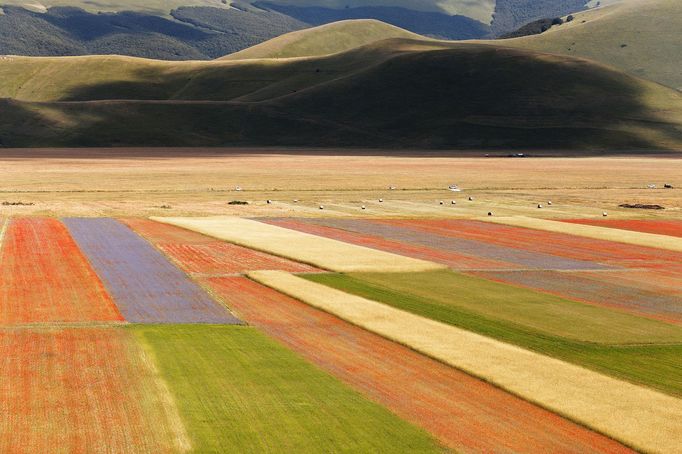 Rozkvetlá letní pole v okolí italské vesnice Castelluccio di Norcia