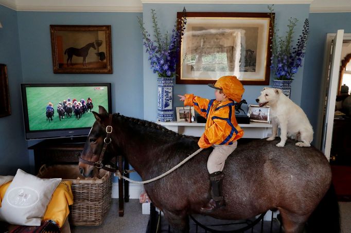 Tříletý Merlin Coles sleduje dostihy z dráhy Royal Ascot v sedle svého koně Mr Glitter Sparkles.