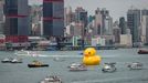 The 16.5-metre-tall inflatable Rubber Duck art installation is seen at the Victoria Harbour in Hong Kong on May 2, 2013. The inflatable duck by Dutch artist Florentijn Hofman will be on display in the former British colony until June 9.