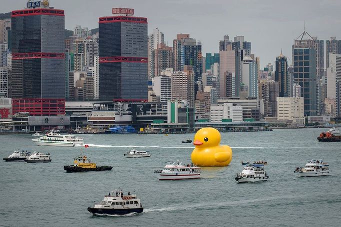 The 16.5-metre-tall inflatable Rubber Duck art installation is seen at the Victoria Harbour in Hong Kong on May 2, 2013. The inflatable duck by Dutch artist Florentijn Hofman will be on display in the former British colony until June 9.