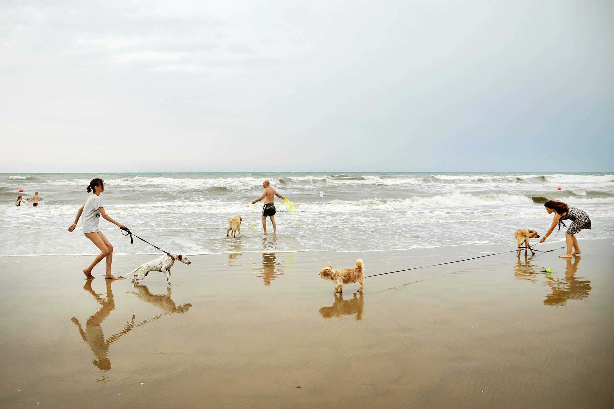 Czech Press Photo 2021 - vítězné snímky v kategorii Každodenní život