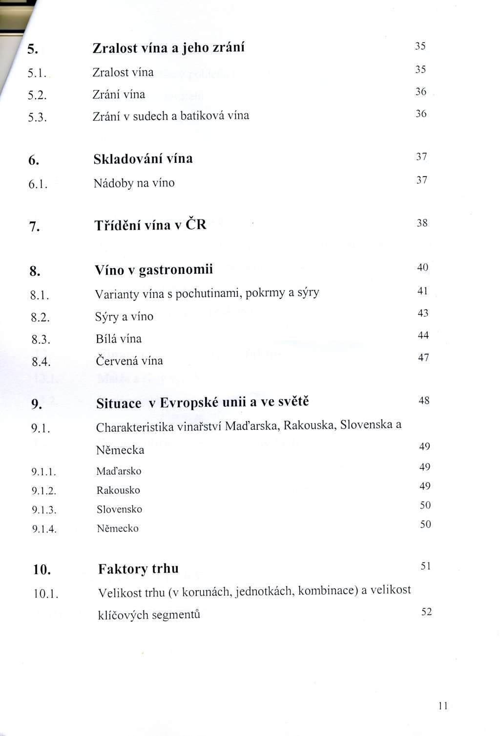 Diplomová práce - Suchánek - 3
