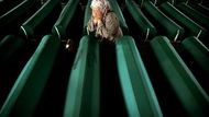 POTOHARI (Bosna a Hercegovina) 10. července - Bosenská muslimka Mujič Sabrová pláče nad rakví svého syna Muja. 610 identifikovaných obětí srebrenického masakru, při nemž srbská armáda zabila osm tisíc bosenských mužů a chlapců, bylo při příležitosti desátého výročí události pohřbeno na hřbitově, kam jsou ukládána těla nalezená v masových hrobech.
