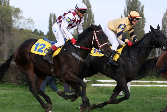 Žokej Josef Váňa na Tiumenovi během Velké pardubické 2012.