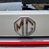 MG HS test