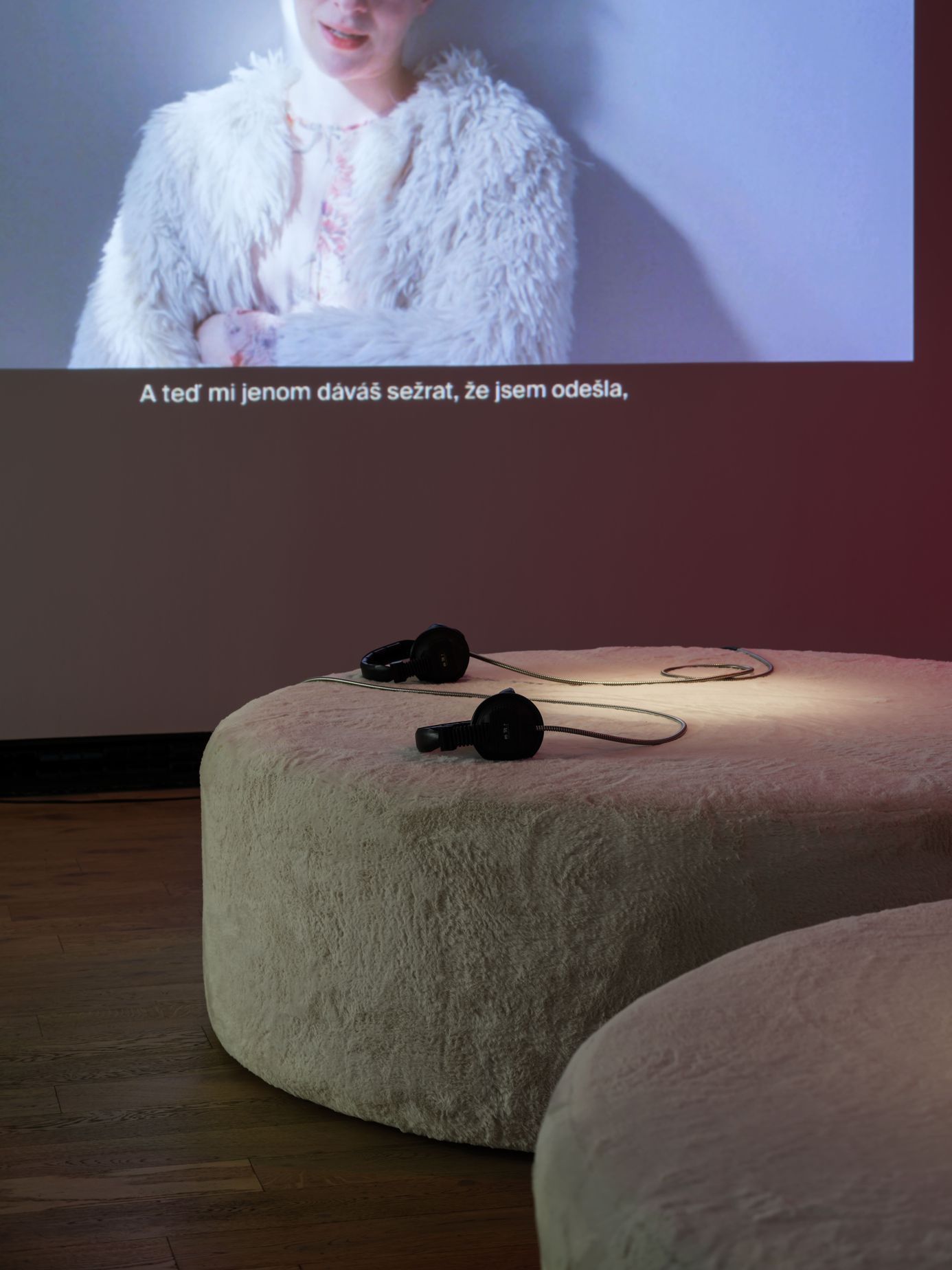 Ester Geislerová, výstava, Kunsthalle