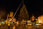 Na Staroměstském náměstí vztyčili vánoční strom, trhy ale letos nebudou
