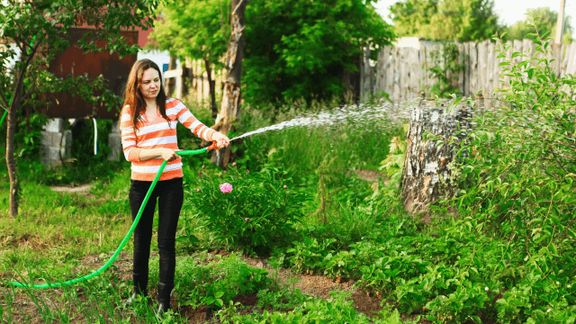 Využití dešťové vody na zálivku zahrady