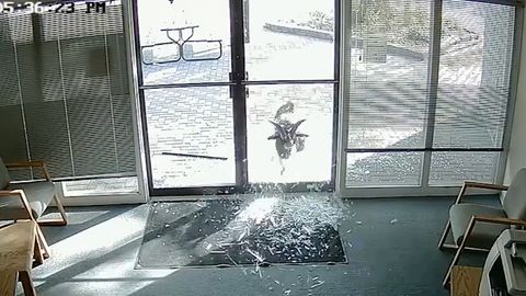 Zvědavá koza rozbila skleněné dveře kanceláře. Zvíře to prý udělalo pro zábavu