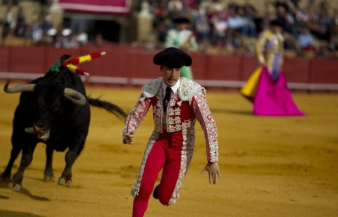 Spanish banderillero Mariscal runs ahead of a bull during a bullfight in Seville