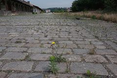 Orco hledá pro miliardovou přestavbu Bubnů pomoc úřadů