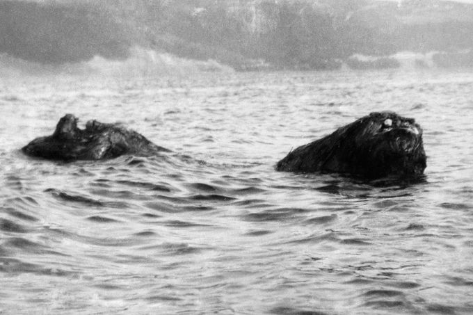 Loch Ness, 1933: Dobová fotografie „Nessie“. Pravděpodobně naplavený kmen posouvaný proudem; obraz patří k raným ikonám legendy.