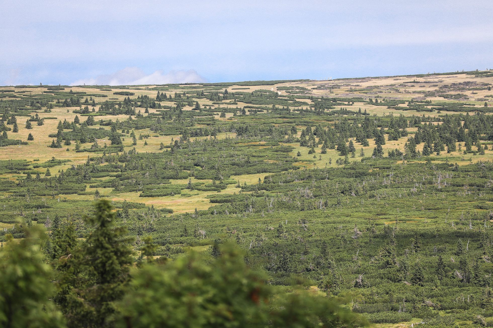 KRNAP overturismus, turisté, Národní park Krkonoše, turistika, správce, ranger, výlet, dovolená