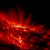 Images from the Transition Region And Coronal Explorer (TRACE) spacecraft: (Click on images for high resolution version or view movie.) Very high resolution images also available (TIF): 1 | 2 | 3. Credit: NASA/LMSAL