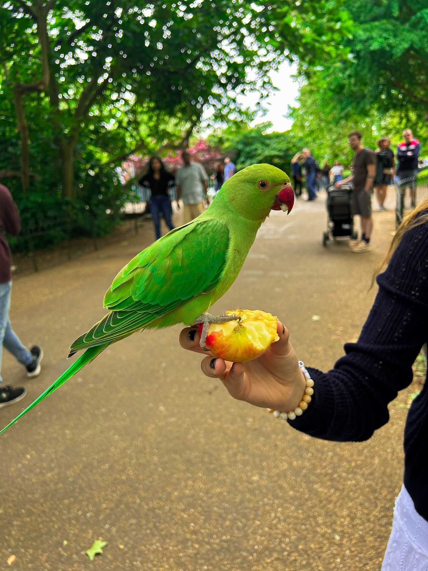 Fotky ze života v Londýně