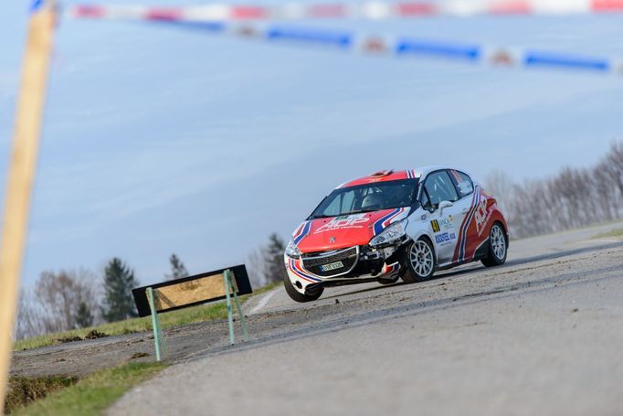 Valašská rallye 2017: Tomáš Pospíšilík, Peugeot 208 R2