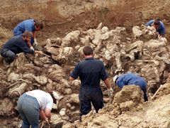 Snímek z roku 1996. Tehdy týmy forenzních expertů otevíraly masové hroby, do nichž byly pohozeny ostatky obětí ze Srebrenice, kde přišlo o život na osm tisíc lidí. Tento hrob byl nalezen u obce Pilicer.