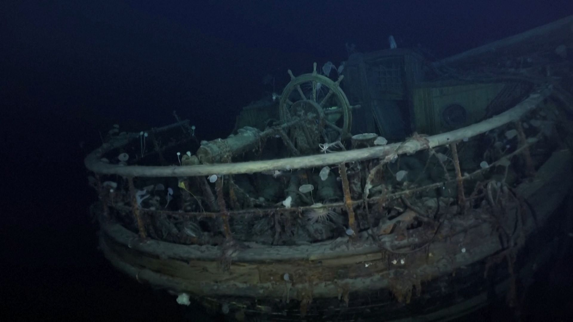 “We’ve got a treasure.  They discovered a mid-Nineteenth century shipwreck within the Baltic, the boat is stuffed with champagne