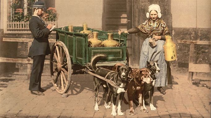 Tak moc se změnil svět za 120 let. Vozy tažené psy a přadleny v ulicích na fotkách