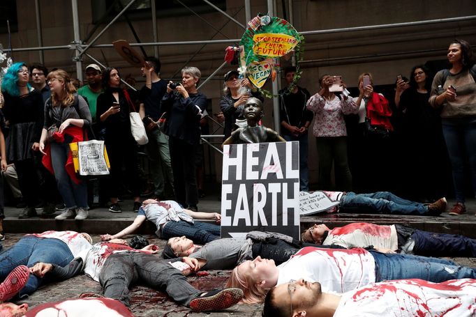 Protest klimatických aktivistů na Wall Street v New Yorku