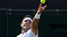 Wimbledon 2018: Juan Martin Del Potro