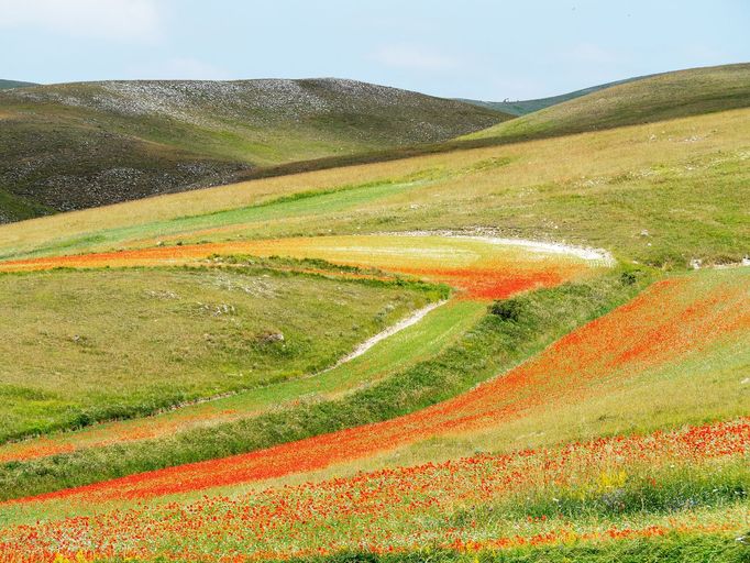 Rozkvetlé louky v okolí Castelluccia di Norcia, Itálie