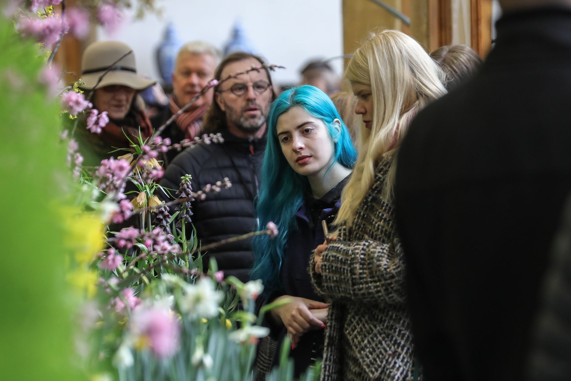 Výstava květin Předjaří, Pražský Hrad