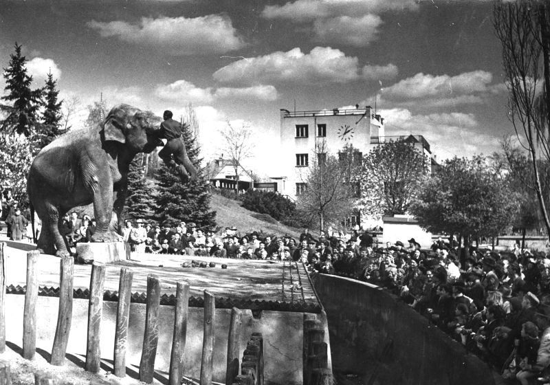 Z historie pražské zoo
