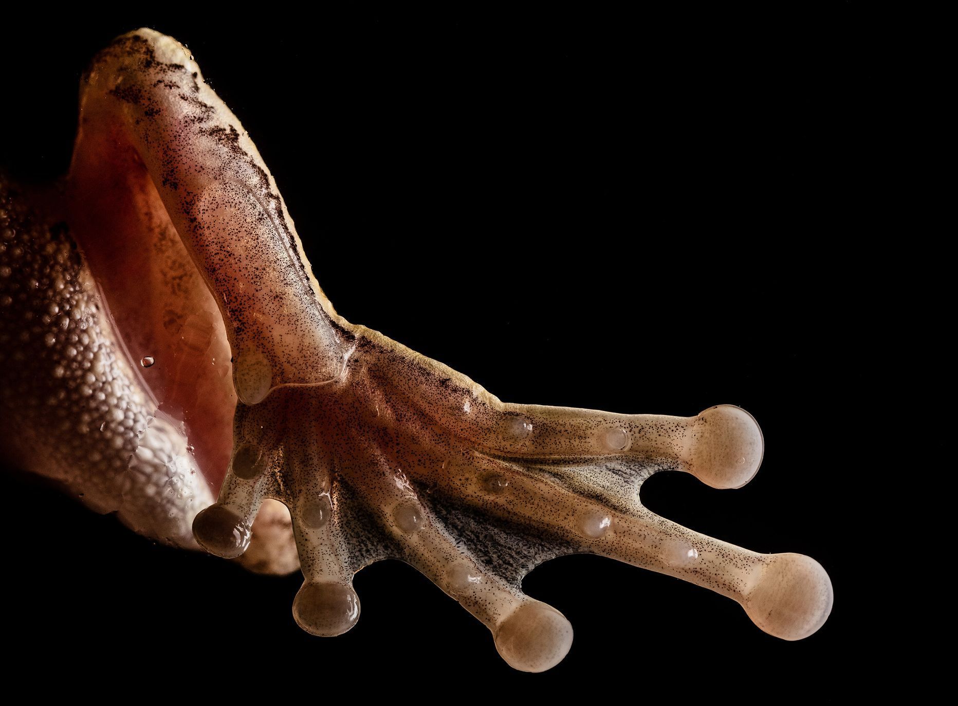 Nominace na ceny Czech Nature Photo 2022