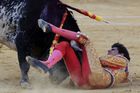 První smrt toreadora od roku 1992: španělskou hvězdu Barria zabil býk v přímém přenosu