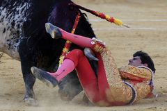 První smrt toreadora od roku 1992: španělskou hvězdu Barria zabil býk v přímém přenosu