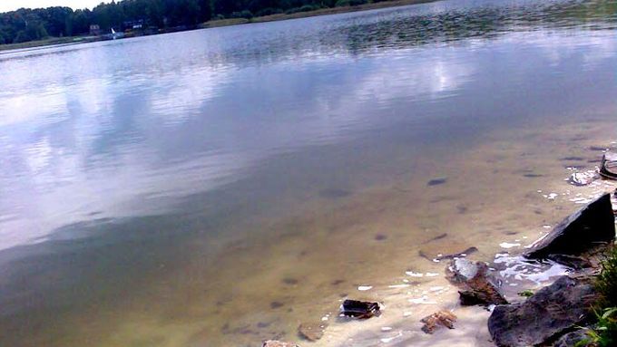 Některé vysočinské rybníky jsou kvůli sinicím nevhodné pro koupání již na počátku června (ilustrační foto)