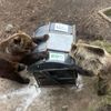 zoo bojnice slovensko medvědi koše