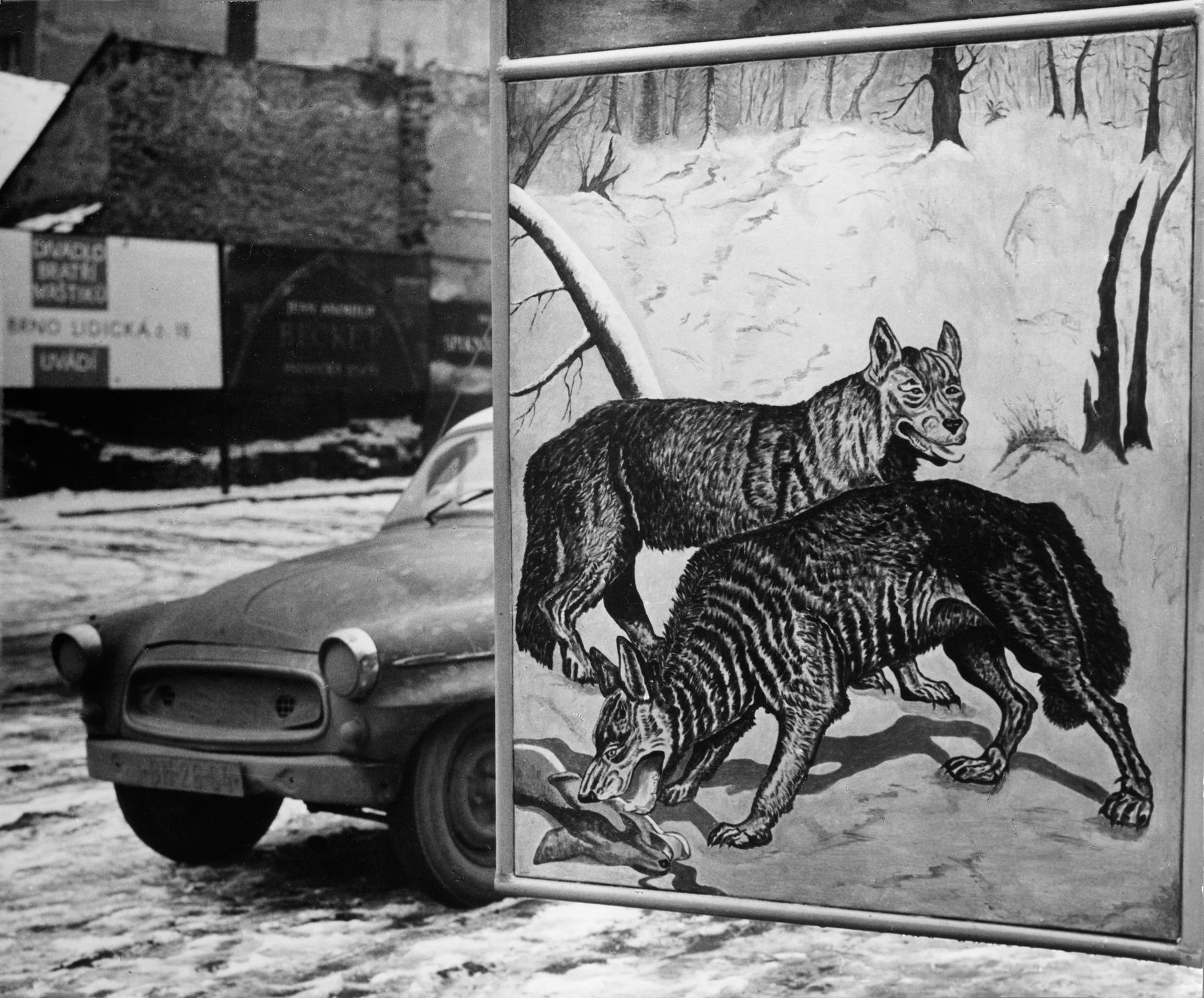 Výstava: Vilém Reichmann. Každá věc je počátkem básně, Vilém Reichmann, fotograf, výstava, Brno, Foto, Magazín