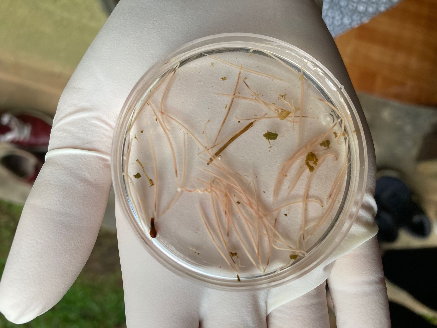 Ústav biologie obratlovců výstava Akademie věd