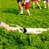 Jednorázová licence, není určeno pro články! Fotogalerie: Čínské pláže pokryly mořské řasy