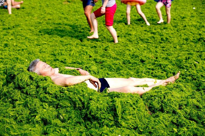 A tourist plays with seaweed piling up on the seashore in Qingdao in east China's Shandong province Wednesday July 3, 2013. Local media say this summer's most massive round of the algae called enteromorpha prolifera, which has plagued Shandong's southern coastline for weeks, has arrived from the Yellow Sea, causing damage to the tourism and aquatic farming. more in the selection