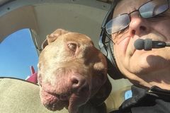 Psi na palubě. Dva piloti zachraňují zvířata před smrtí