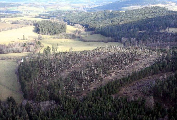 Nejhůře se vichřice podepsala na lesních porostech. Zasaženy byly všechny kraje. Jen ve státních lesích padlo podle předběžných odhadů pět miliónů kubíků dřeva, což je více než 70% celkové roční těžby Lesů České republiky. Pohled na přibližně pětihektarový polom v oblasti lesní správy Velhartice na Šumavě.