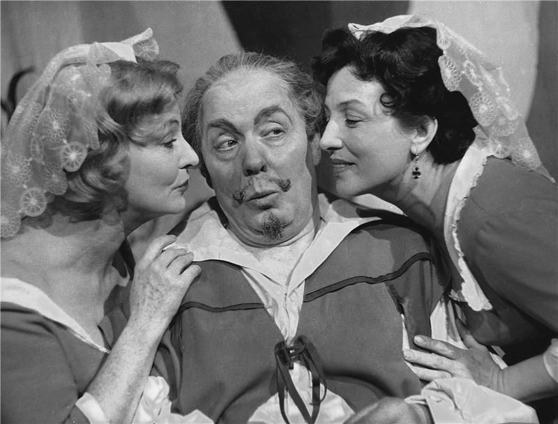 Dana Medřická, herečka