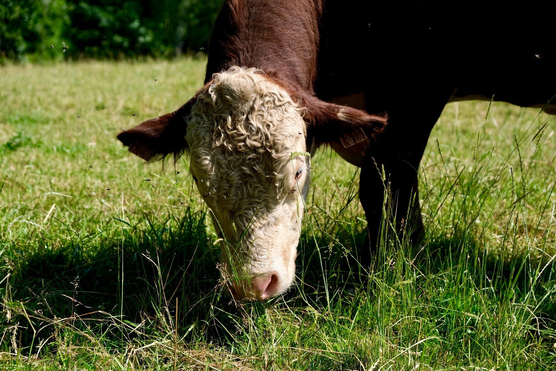 ChatkA České Švýcarsko