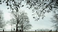 Na Vyšehrad chodí hlavně Češi. Vědomi si historických souvislostí, bloudí parkem a kochají se panoramatickým výhledem.