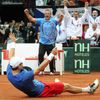 Davis Cup: Česko - Srbsko (Berdych, Navrátil, radost)