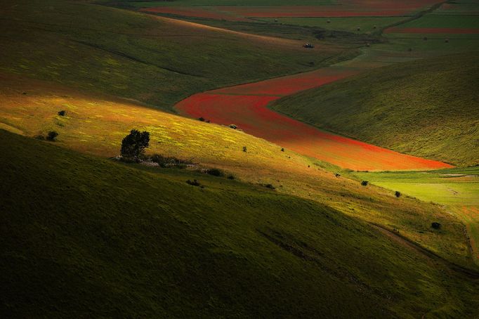 Rozkvetlé louky v okolí Castelluccia di Norcia, Itálie