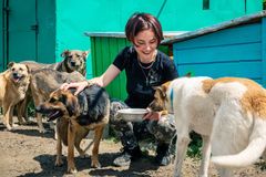 Každý třetí Čech dobrovolničí nebo přispívá na charitu, ostatním lidem ale nevěří