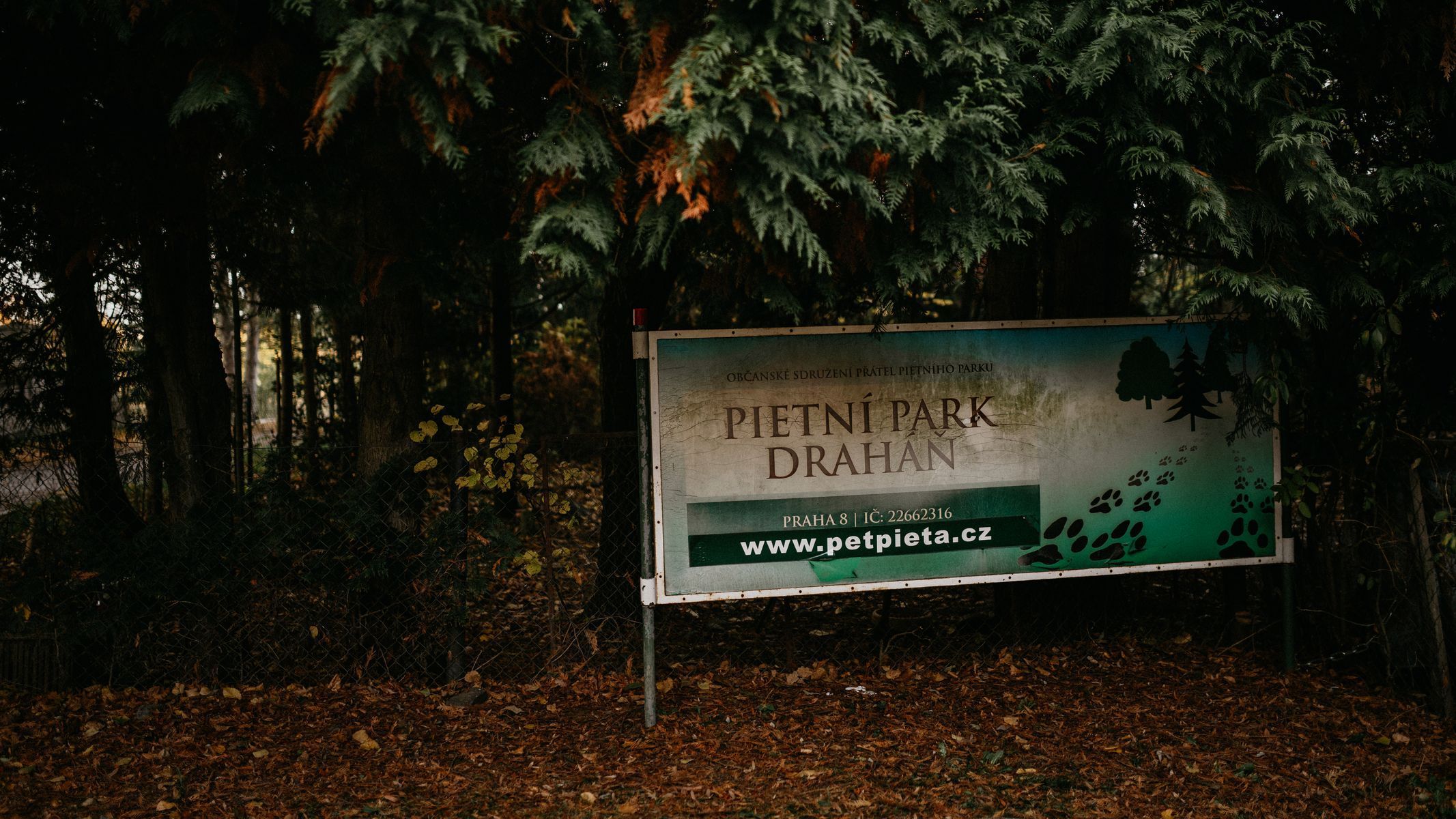 hřbitov Bohnice hřbitov bláznů