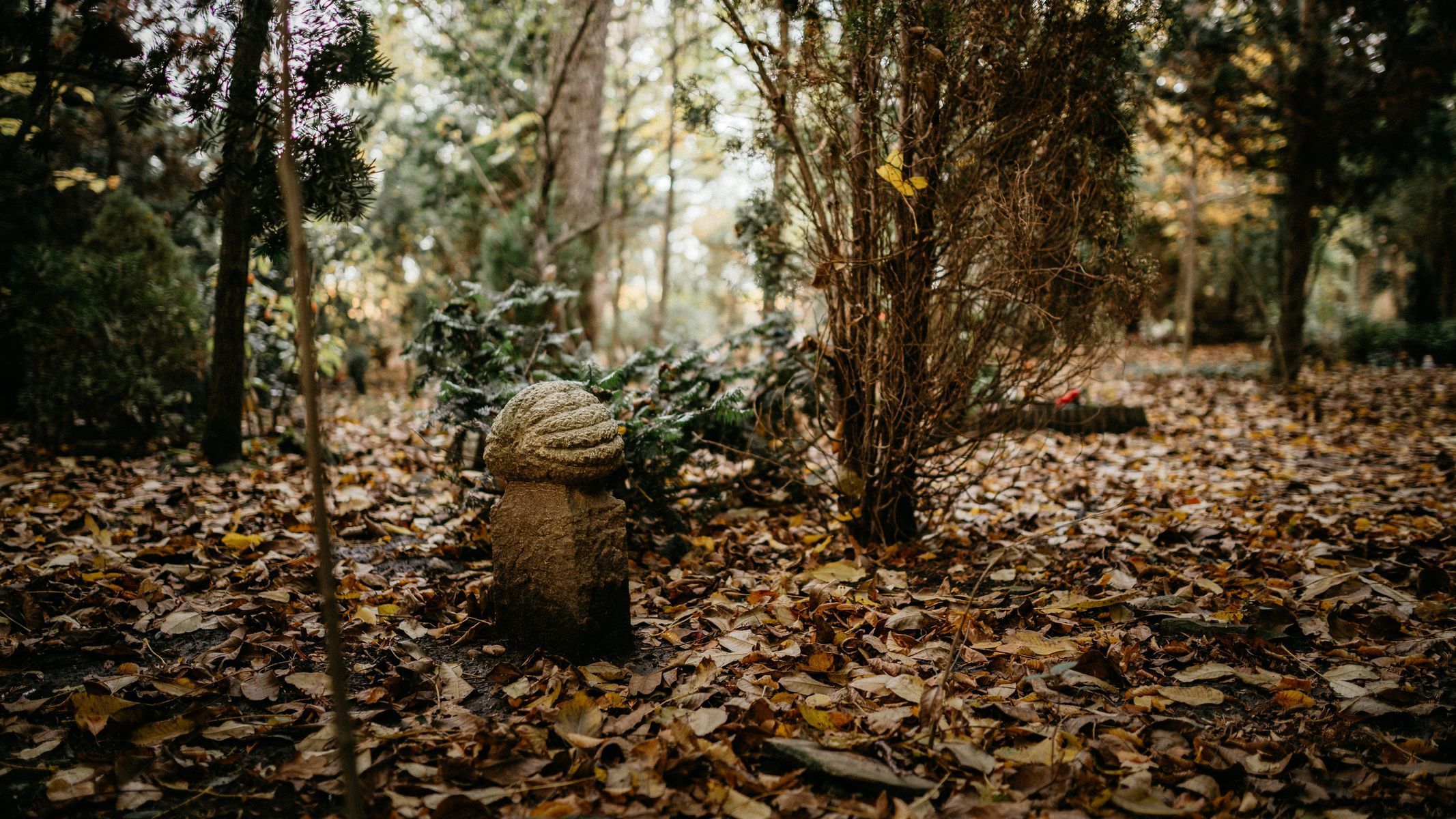 hřbitov Bohnice hřbitov bláznů