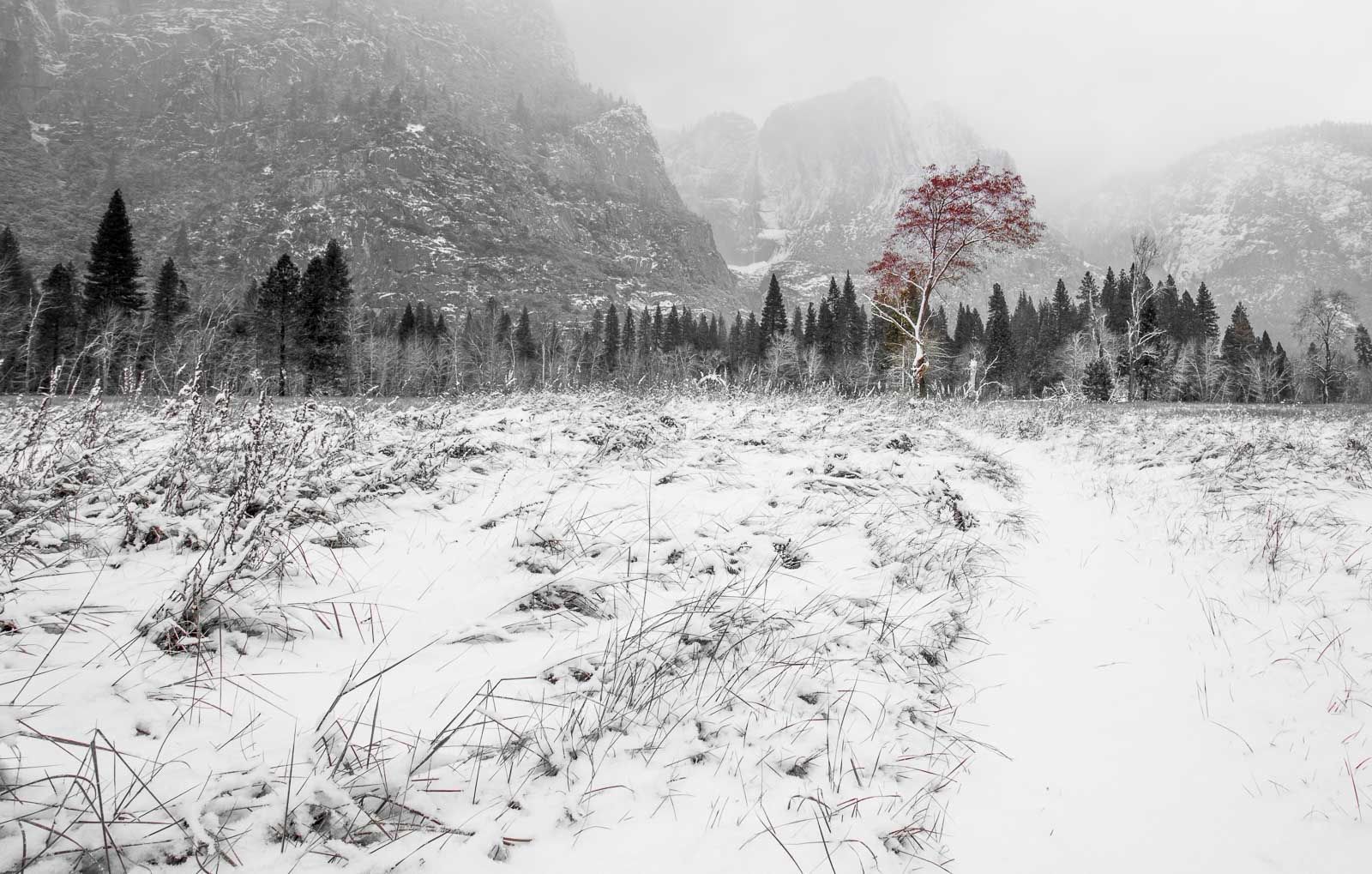 Jan Březina fotografie Aktuálně.cz